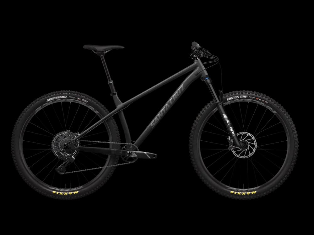 Santa Cruz Chameleon
